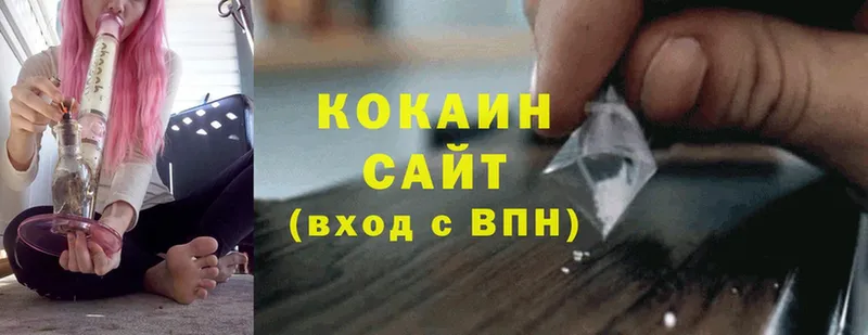 КОКАИН Fish Scale  магазин продажи   Судак 