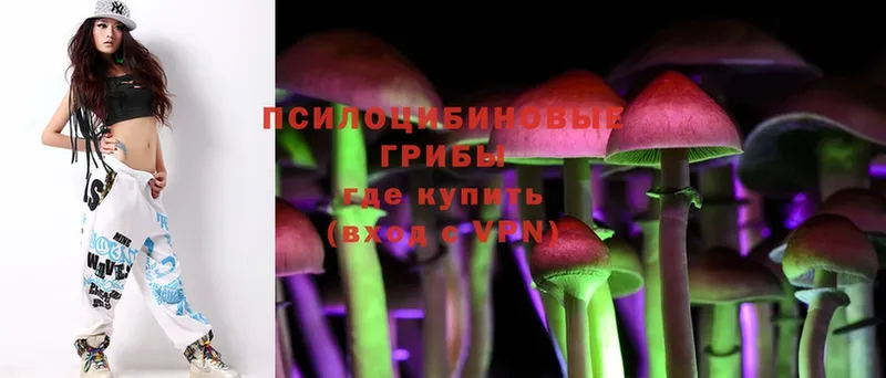 Псилоцибиновые грибы MAGIC MUSHROOMS  где купить наркоту  Судак 